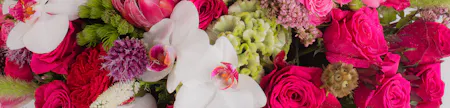 Close-up of a vibrant mixed floral arrangement featuring hot pink roses, white orchids, red carnations, green celosia, allium, and assorted premium blooms.