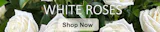 White Rose Collection