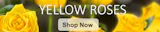Yellow Rose Collection