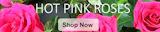 Hot Pink Roses Columbus Oh Florists Griffins Floral