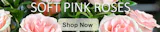 Soft Pink Roses Columbus Oh Florists Griffins Floral