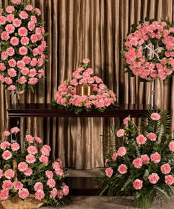 Pink Carnation Memorial Series