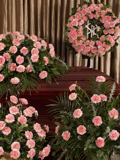 Pink Carnation Tribute Series
