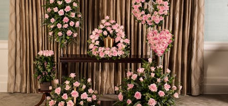 Pink Rose Memorial Series