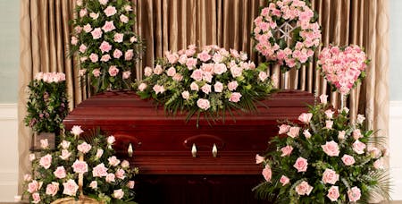 Pink Rose Tribute Series