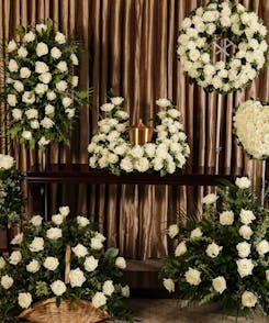 White Rose Memorial Series