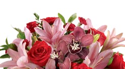 Valentine's Day Luxury Flowers