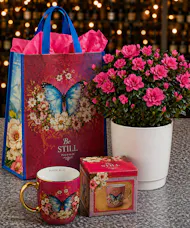 Azalea & Mug For Mom