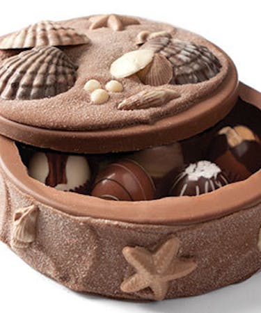 Seashell Chocolate Artisan Box