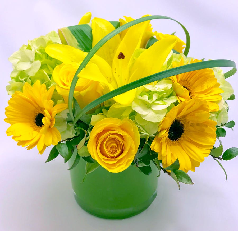 Citrus Splash Bouquet Columbus Oh Flowers Newark Ohio Florists