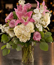 Darling Pinks