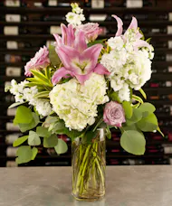 Darling Pinks