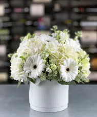 Elegant White Grove