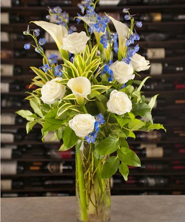 Enchanting Blue