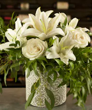 Ethereal Whites