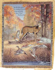 Fur, Feathers & Fall