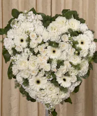 White Elegance Tribute 18