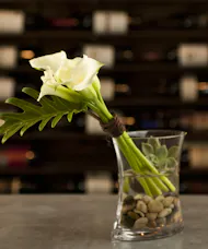 Modern White Calla