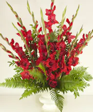 Solemn Offering In Red