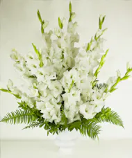 Solemn Offering In White