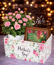 Sweet Music Box & Roses