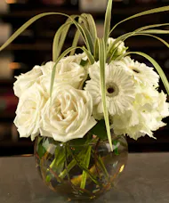 Timeless Whites