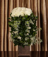 White Rose Hedge