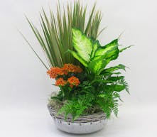 Sympathy Planters | Dish Gardens | Planter Baskets | Funeral Planters