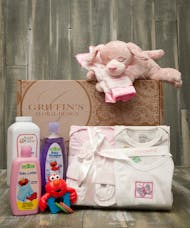 Baby Girl 5 Piece Gift Set