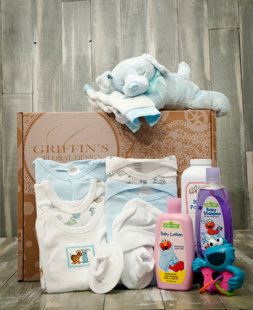 baby basket set