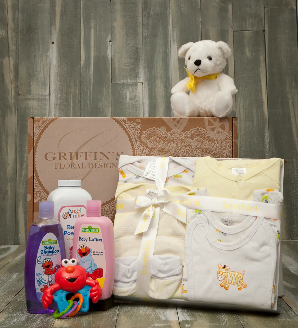 baby basket set