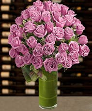 48 Luxury Lavender Roses