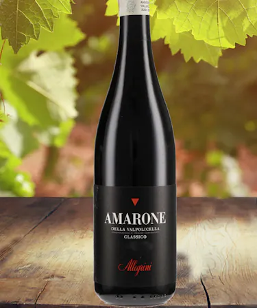 Allegrini Amarone della Valpolicella Classico Italian wine Columbus Wine Shops Newark Ohio wines