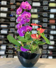 Orchid Anthurium Combo Planter
