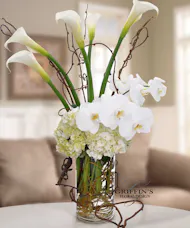 Calla La Orchid