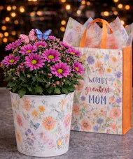 Daisy Planter & Journal For Mom