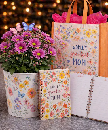 Daisy Planter For Mom delivered in Columbus, Ohio Griffins