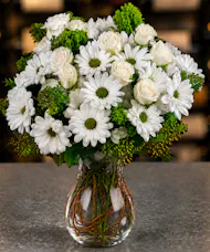 Daisy Delight