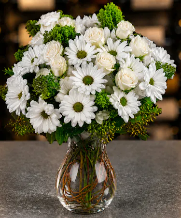 White roses and white daisies with green button accents in modern glass vase – Columbus Ohio's top florist