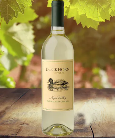 Sauvignon Blanc  Wine Delivery Columbus Ohio Wine Shops Newark Griffins