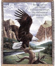Eagles Wings Freedom Sympathy Throw