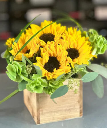 Compact sunflower and green hydrangea arrangement in a light wood cube with eucalyptus and bear grass accents.