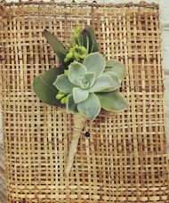 Green Succulent Boutonniere
