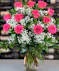One Dozen Hot Pink Roses Columbus Roses Florists Griffins