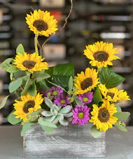 Modern Sunflower Meadow