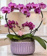 Double Heart Orchid Planter