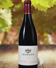 Morgan 12 Clones Pinot Noir