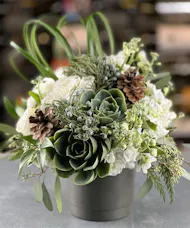 Nordic Blossoms