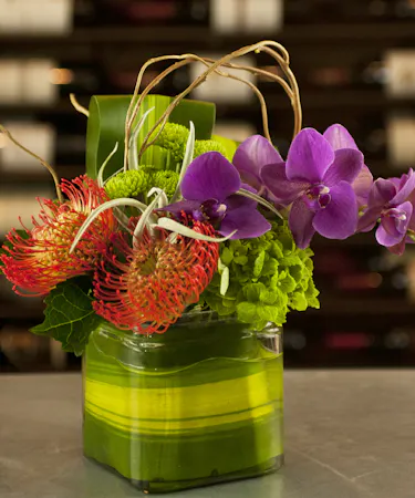 Orchid Bliss Columbus Florists Flower Shops Columbus OH