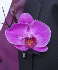 Purple phalaenopsis Orchid Boutonniere